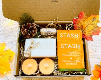 Fall Themed Gift Set Fall Gifts For Her Fall Vibe Gift Box for Women College Care Package Tea Gift Sampler Pumpkin Lover Gift Set Cozy Gift