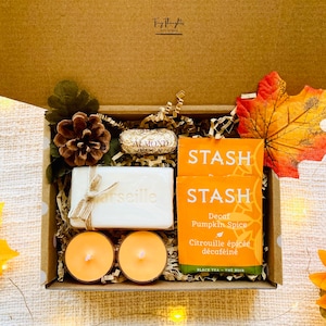 Fall Themed Gift Set Fall Gifts For Her Fall Vibe Gift Box for Women College Care Package Tea Gift Sampler Pumpkin Lover Gift Set Cozy Gift