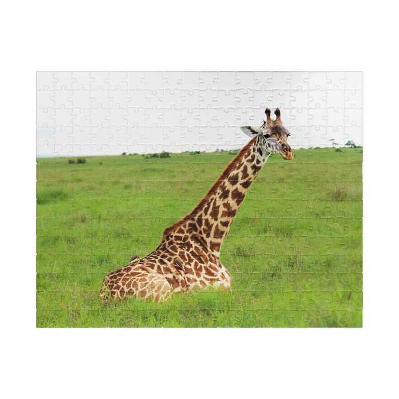 Giraffe Jigsaw Puzzle 110, 252, 520, 1014piece Etsy