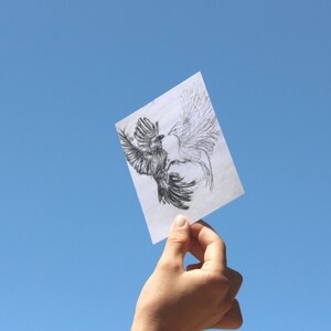 Ocells - Carte postale - Imprimer