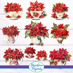 Poinsettia Pitchers and Teacups Clipart PNG Images for Download and Print