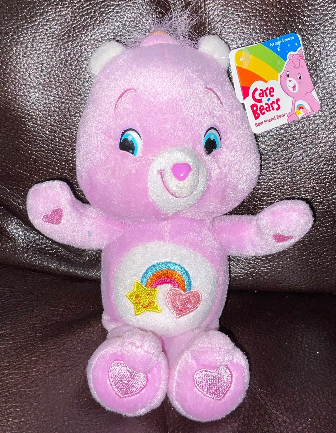 Care Bears Plush Best Friend Bear Bean Bag With Tags Etsy