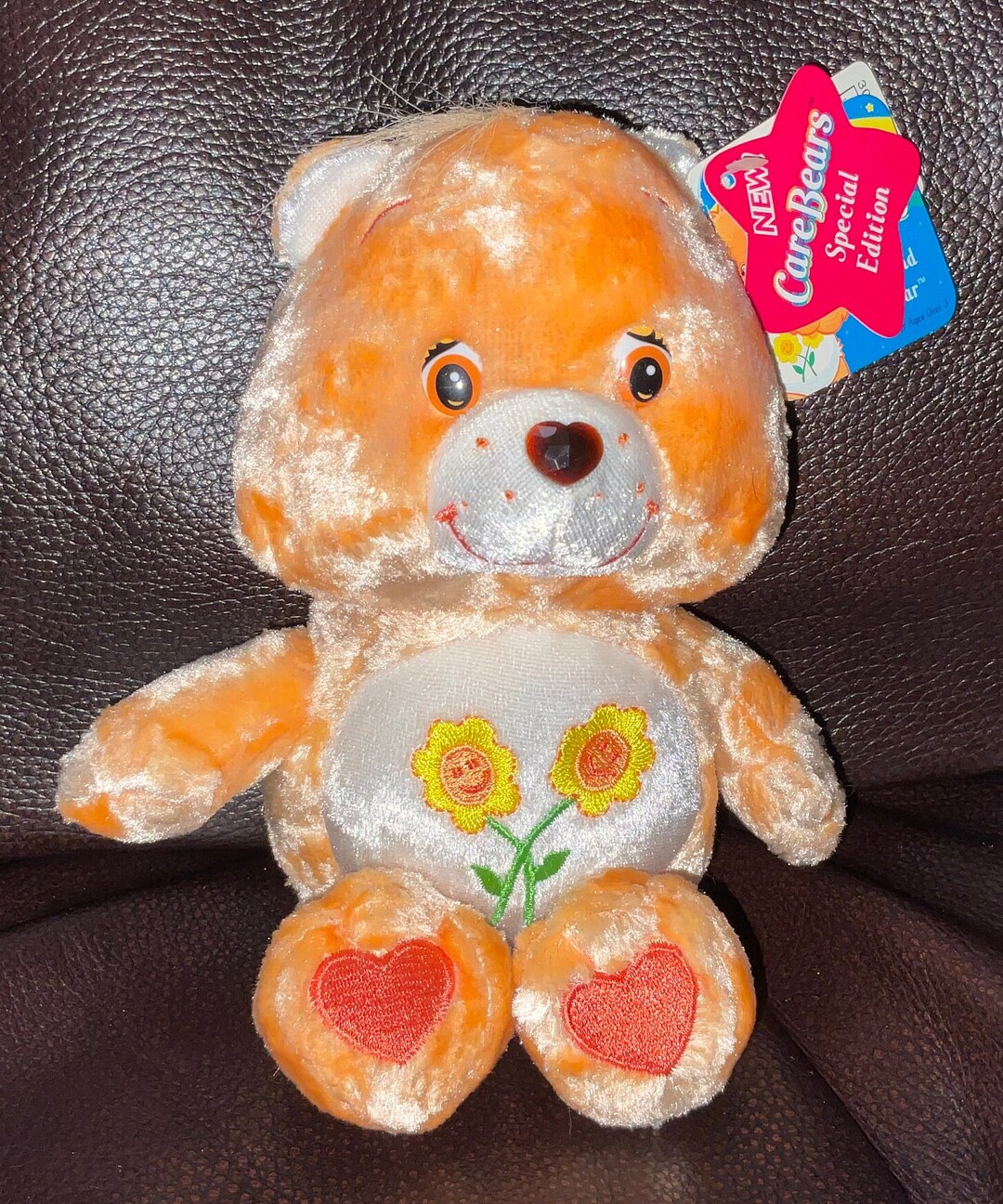 Care Bears Special Edition Charmers Plush Friend Bear Bean Bag With