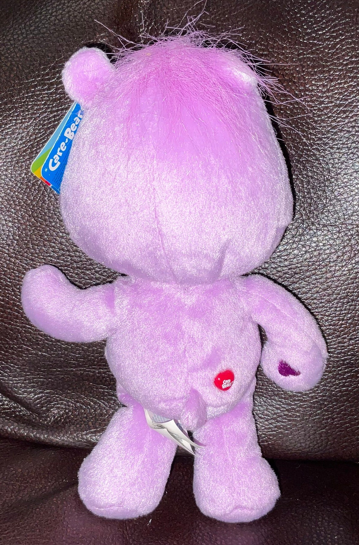 Care Bears Plush Share Bear Bean Bag With Tags Etsy