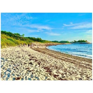 May include: A coastal landscape featuring a sandy beach with scattered seaweed, leading to a calm blue ocean under a bright sky. A grassy, tree-lined hill rises along the shoreline, with small figures visible in the distance near the water.