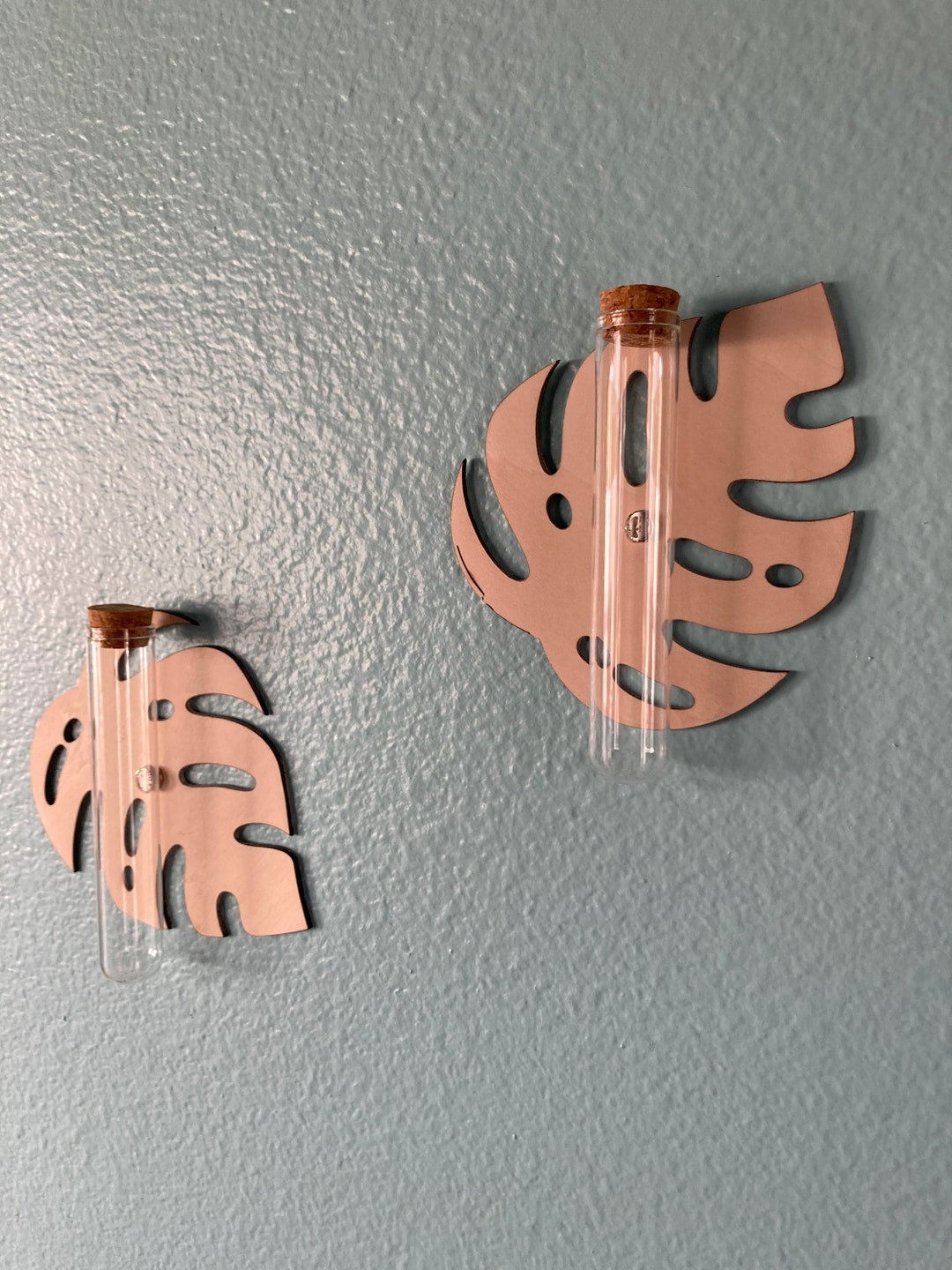 Leaf Plant Propagation Kit set of 2 Wooden Leaf Etsy