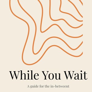 May include: A rectangular print featuring a cream background with orange wavy line patterns at the top. The text reads While You Wait in large black letters, followed by the smaller text A guide for the in-betweent below the main title.