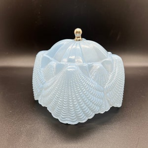 Blue Frosted Glass Satin Seashell Lampshade / Vintage