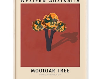 Impresión artística del árbol Moodjar / Temporada Birak Noongar / Flor nativa australiana