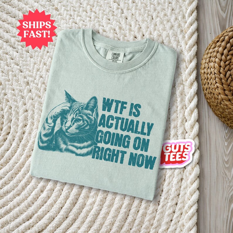 May include: A light green t-shirt with a teal cat graphic and the text "WTF is actually going on right now".