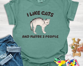 I Like Cats Shirt, Funny Cat Comfort Color T-Shirt, Sarcastic Cat Tee, Gift For Cat Lover, Kitty Lover, Maybe 3 People,