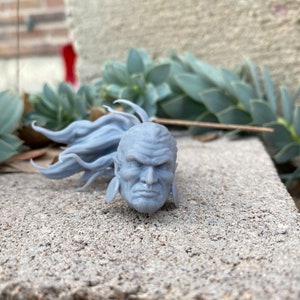 Puede incluir: Una figura de cabeza de hombre impresa en 3D de color gris con el pelo largo y una expresi&oacute;n seria. La figura tiene grandes pendientes redondos.