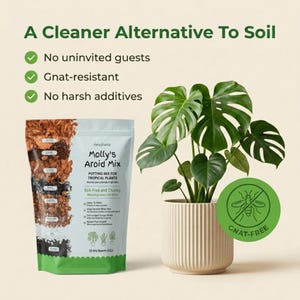May include: A bag of Molly's Aroid Mix potting soil for tropical plants, next to a potted Monstera plant. The bag is white and green, with the text "Soil-Free and Chunky." The image also includes the text "A Cleaner Alternative To Soil" and "Gnat-Free."