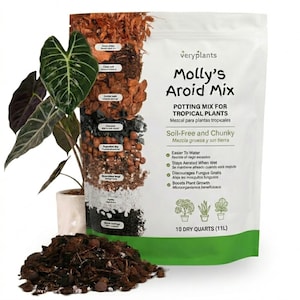 May include: A bag of "Molly's Aroid Mix" potting mix for tropical plants. The white bag features the product name, a list of benefits, and a cross-section of the mix's components. A potted plant with large, dark green leaves is to the left, and a pile of the mix is in front.