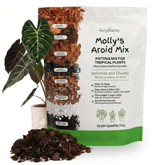 Molly's Aroid Mix – Soilless Potting Mix for Tropical Indoor Plants
