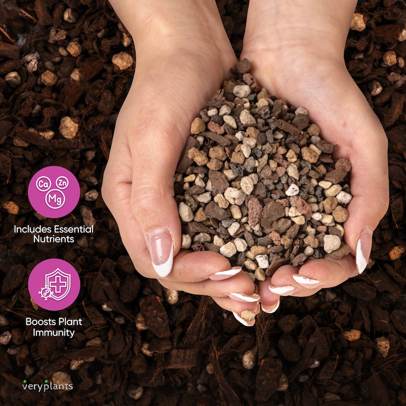 Molly's Succulent Mix - Premium Gritty Soilless Potting Mix for ...