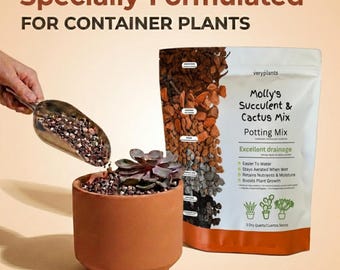Organic Succulent & Cactus Potting Mix: Fast-draining Soil Blend | Cycle of  Plant - Etsy