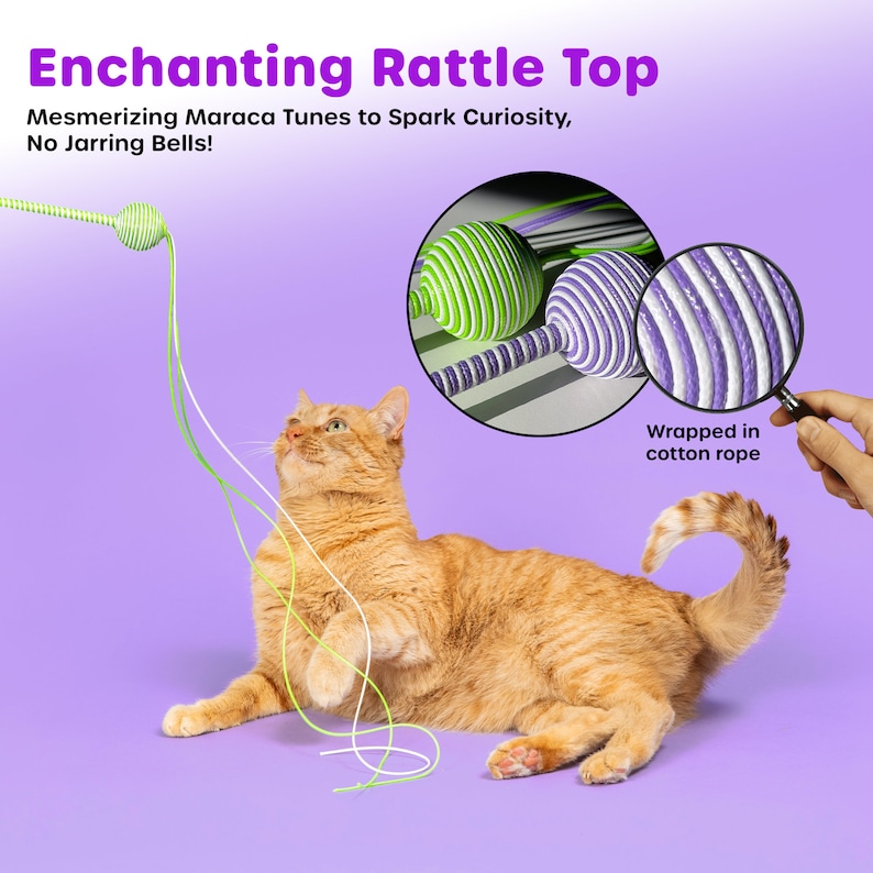Purple and green interactive cat toys designed for sensory stimulation