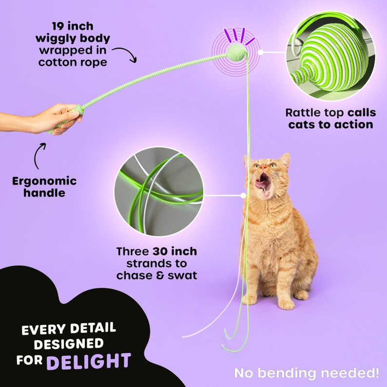 Durable cat teaser toy engaging all five senses of cats