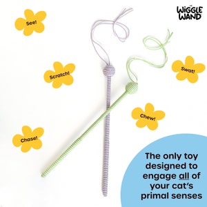 SALE! The Wiggle Wand™ Cat Toy, 2023 Version WITH RATTLE, interactive wand toy made in colors cats can see