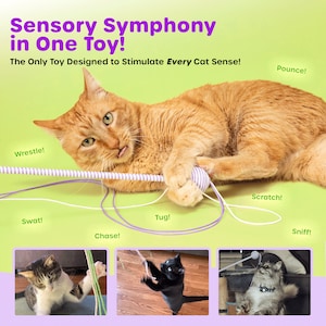 Best cat toy gift for cat moms and cat dads, durable and safe