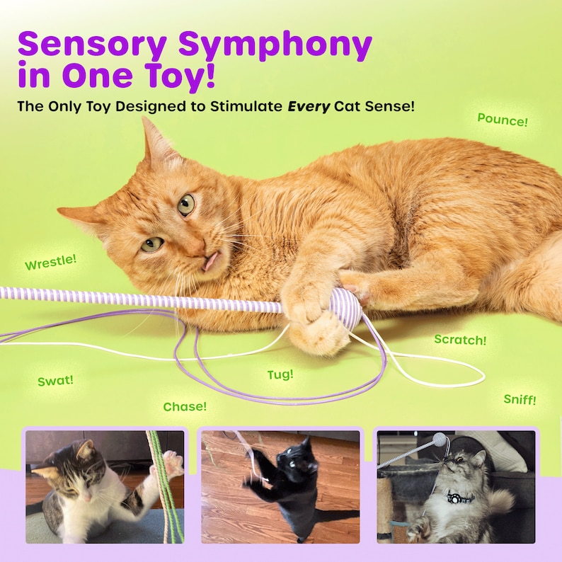 Best cat toy gift for cat moms and cat dads, durable and safe