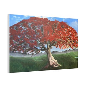 Puerto Rico&#39;s Flamboyant Tree Painting Acrylic Print on Canvas