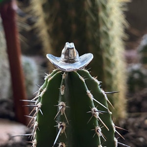 May include: A small, silver cowboy hat sits atop a green cactus with sharp spines. The hat is detailed with a curved brim and a rounded crown. The cactus is in focus, with other cacti blurred in the background.