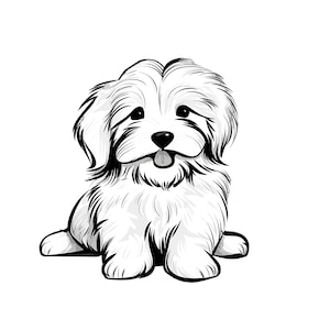 Race de chien coton de Tuléar PNG, JPG, téléchargement de fichier PDF, mignon chien coton de Tuléar, art graphique, conception numérique clipart, maltais, race jouet