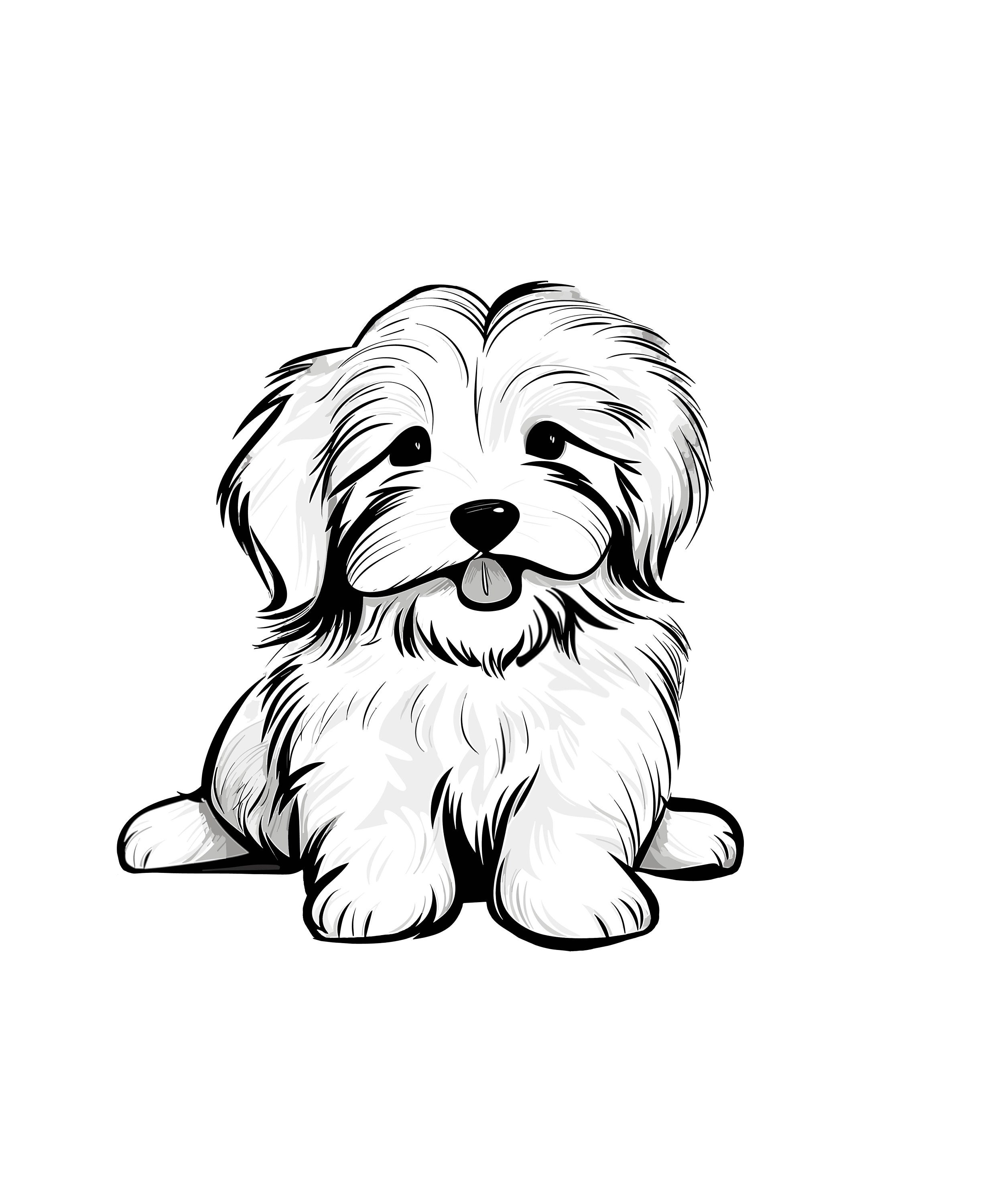 Coton De Tulear Dog Breed PNG, JPG, PDF File Download, Cute Coton De