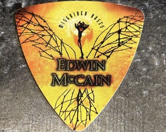 EDWIN McCAIN Concert Tour Guitar Pick!!! Collectible~ Doritos