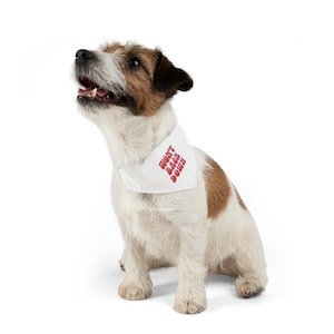 Florida Gators &quot;Won&#39;t Back Down&quot; Dog Cat Pet Bandana Collar