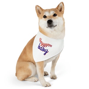 Florida Gators &quot;Hey Baby&quot; oranje en blauwe hond kat bandana halsband