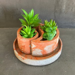 Könnte beinhalten: Ein Beton-Pflanztopf mit Yin-Yang-Design, mit drei Sukkulenten. Der Topf ist in einem hellen Orange mit weißen Marmorierungen bemalt. Der Topf steht auf einem grauen Betonsockel.