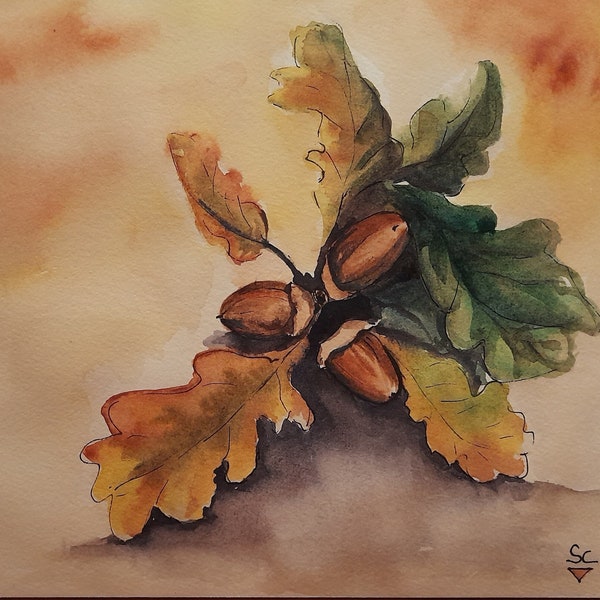 Les glands, aquarelle originale