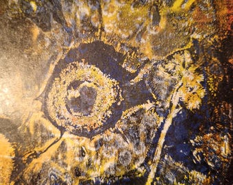 L'oeil de la nuit, série de 3 gravures