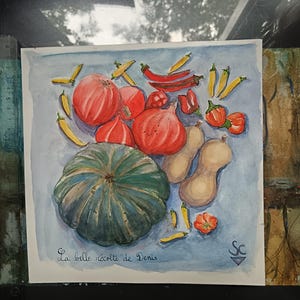 Een verzameling pompoenen: Denis' overvloedige oogst, originele aquarel