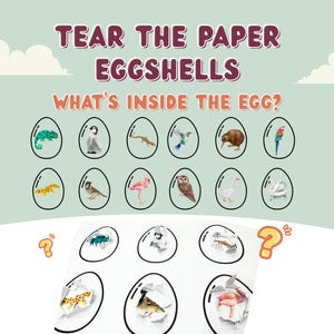 May include: An educational poster with the text "TEAR THE PAPER EGGSHELLS" and "WHAT'S INSIDE THE EGG?" features illustrations of various animals inside eggs, including a chameleon, penguin, and kiwi. The background is light green with white clouds.
