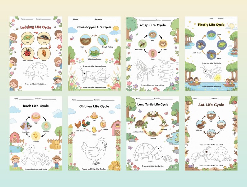 21 Life Cycle Activity Printable Worksheets | Trace, Color & Learn ...