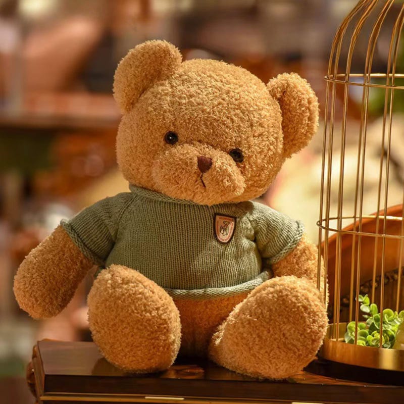 Teddy Bear for Girlfriend Etsy