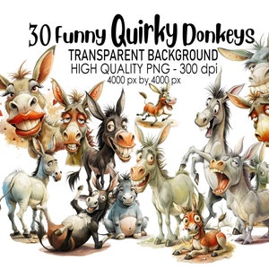 May include: 30 digital illustrations of funny, quirky donkeys with various expressions. The donkeys are cartoon-style and have a watercolor effect. The background is transparent.