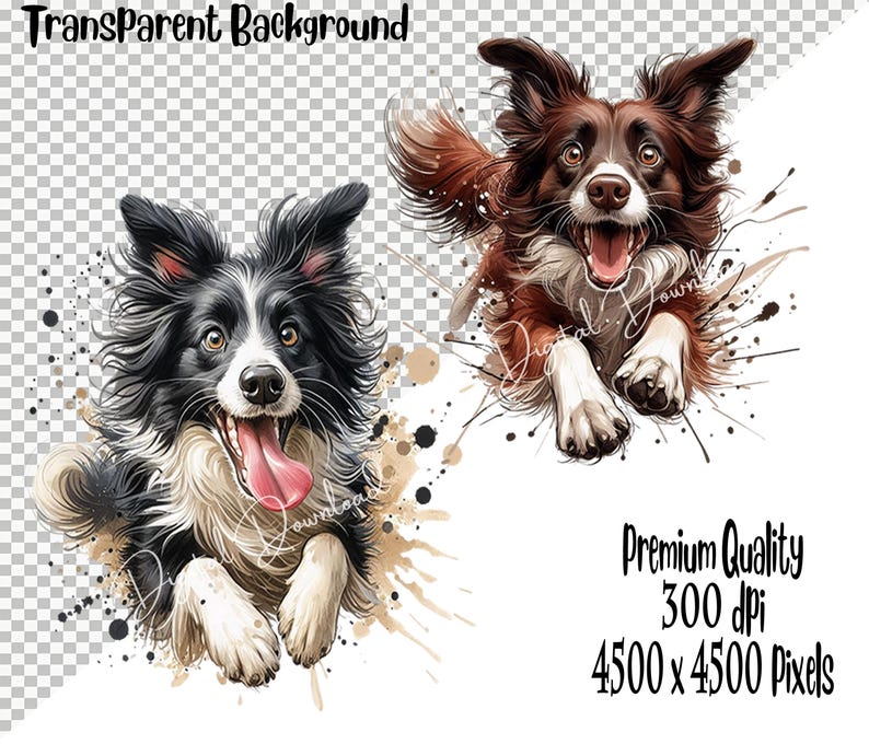 May include: Two black and white border collie dogs running with their tongues out. The dogs are in a watercolor style with splashes of brown and white paint.