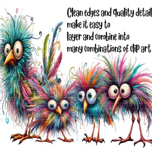 Peut inclure: Quatre oiseaux de dessin anim&eacute; color&eacute;s avec de grands yeux et des plumes duveteuses. Les oiseaux sont debout en rang&eacute;e et ont un style fantaisiste et cartoon. Le texte "Clean edges and quality details make it easy to layer and combine into many combinations of clip art" est &eacute;crit au-dessus des oiseaux.
