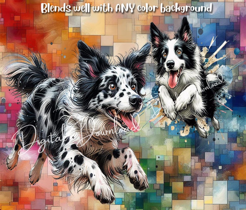 May include: Two black and white border collie dogs with spots, one running and one jumping, against a colorful abstract background of squares and paint splatters. Blends well with any color background.