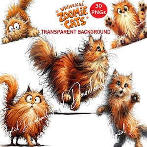 30 cliparts lunatiques chat zoomie, drôle orange tigré, fond Transparent, téléchargement numérique sublimation impression cartes journal de scrapbooking