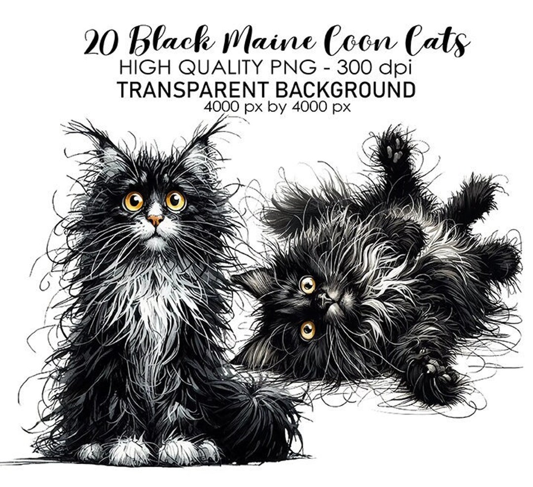 20 Transparent Background Playful Maine Coon Cats Clip Art, PNG 300 Dpi  High Quality Digital Download Prints Illustration Style, Sublimation - Etsy