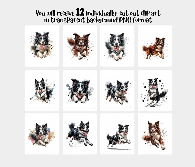 May include: Twelve digital illustrations of border collies in various poses, with watercolor-style splashes of color behind them. The dogs are all black and white, except for one brown and white dog.