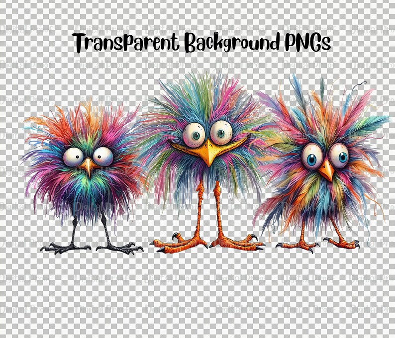 Peut inclure: Trois oiseaux de dessin anim&eacute; avec des plumes color&eacute;es et h&eacute;riss&eacute;es et de grands yeux. Les oiseaux sont debout sur un fond transparent.