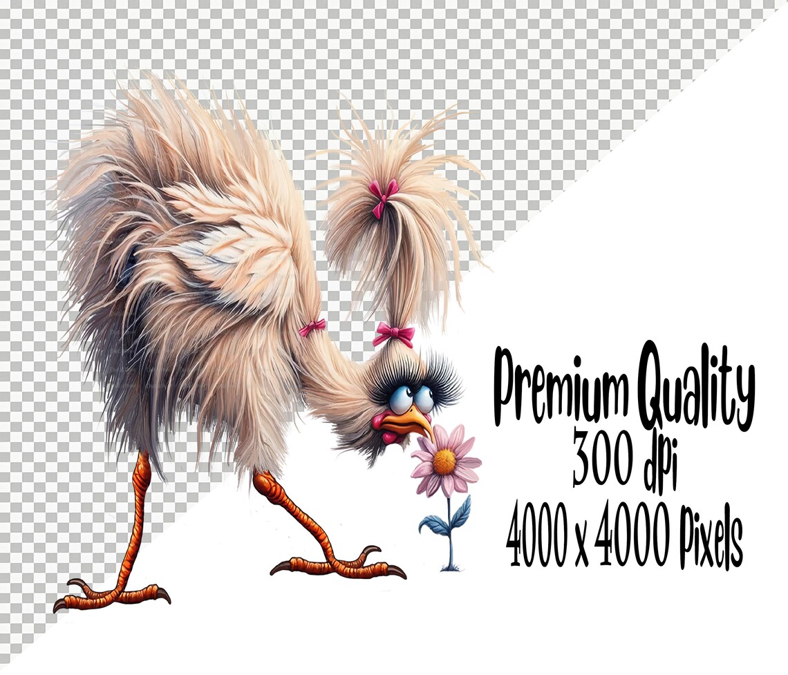 15 Funny Cheeky Chickens Clip Art, Transparent Background PNG 300 DPI