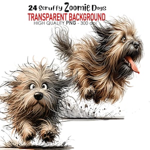 24 Transparent Background Scruffy Zoomie Dog Clip Art, PNG 300 dpi High Quality Digital Download Prints, Watercolor Sublimation Quirky Dogs